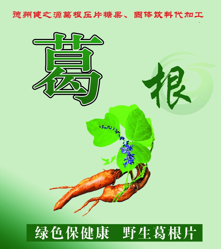 葛根，男女通用的人體調(diào)理專家